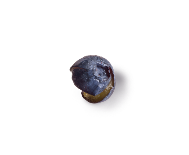 Blueberry