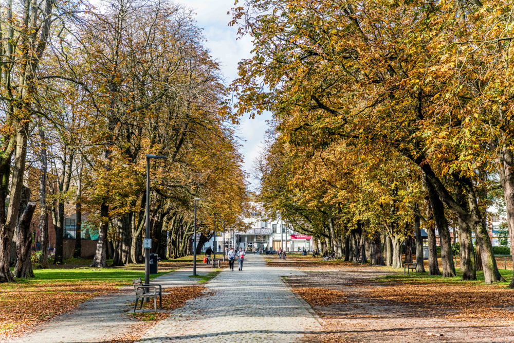 Bouckenborghpark / Gaston Berghmansdreef (c) Dries Luyten