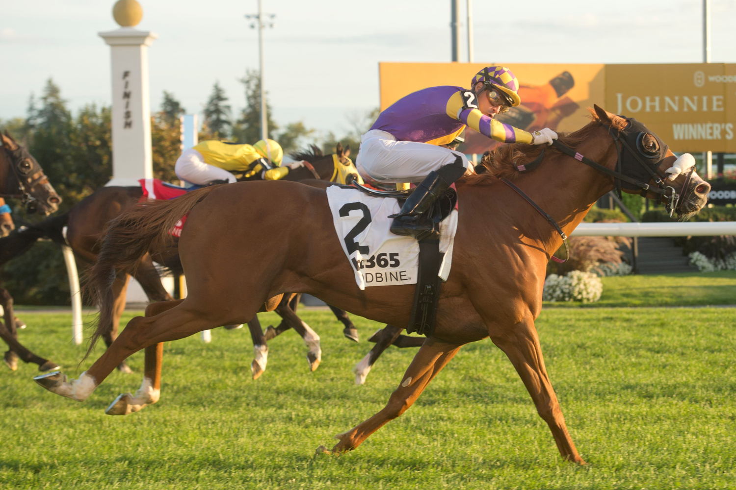 Lou Donato's silks (Michael Burns Photo)