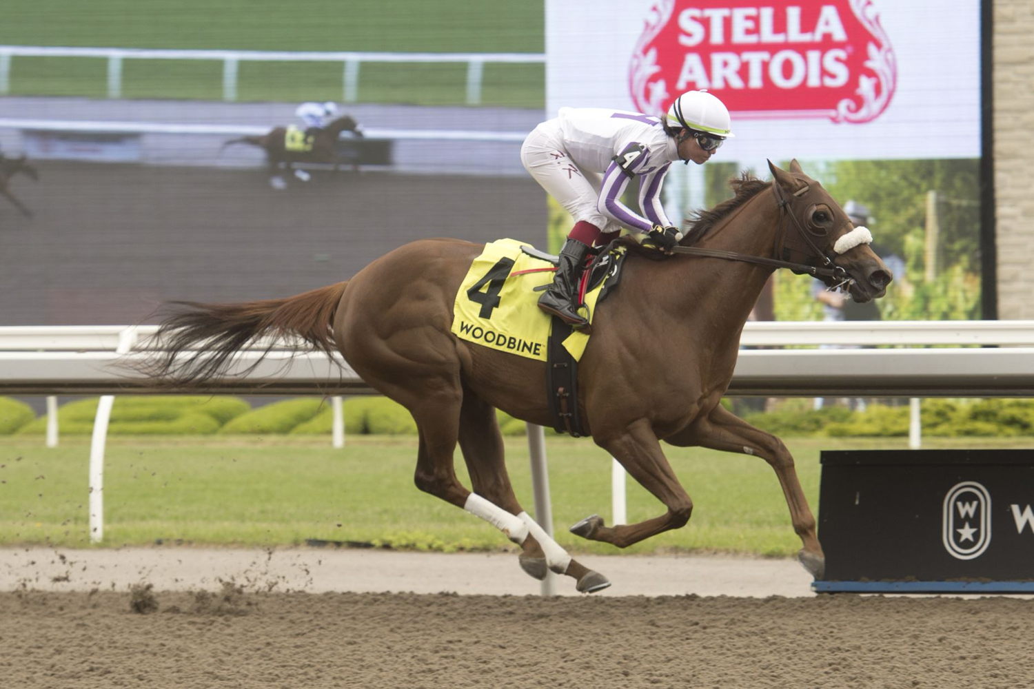 Dreaming of Drew and jockey Kazushi Kimura winning the Belle Mahone Stakes on June 5, 2022 at Woodbine (Michael Burns Photo)