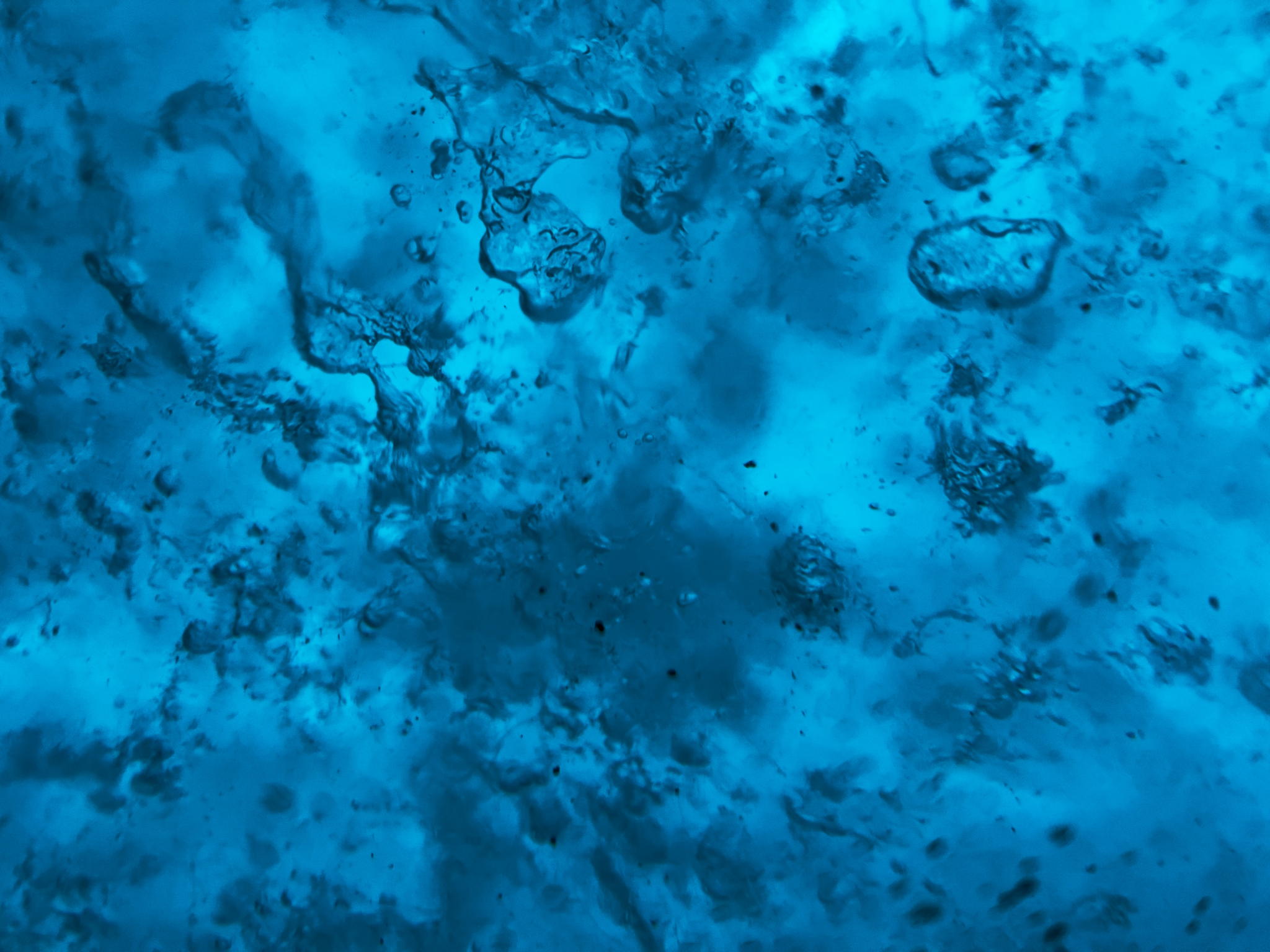 Beverly is looking forward to doing more fascinating glacier recordings