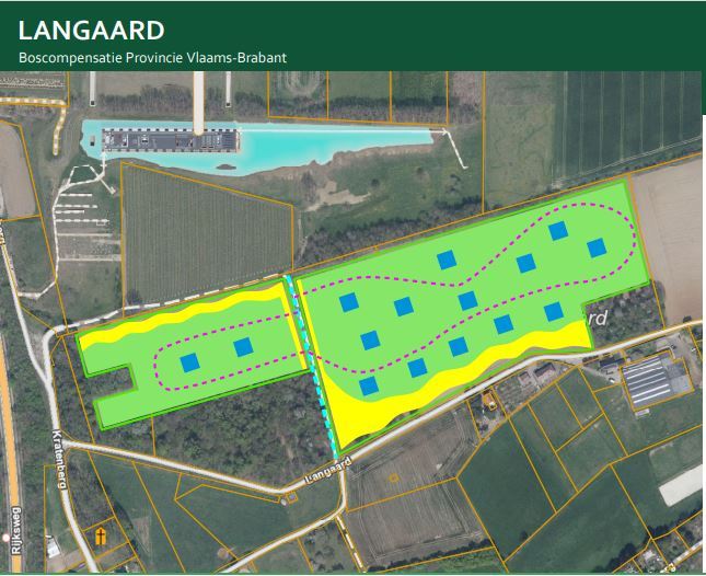 In Langaard plant de Bosgroep Vlaams-Brabant 16.100 bomen als compensatie voor de ontbossing in Het Vinne