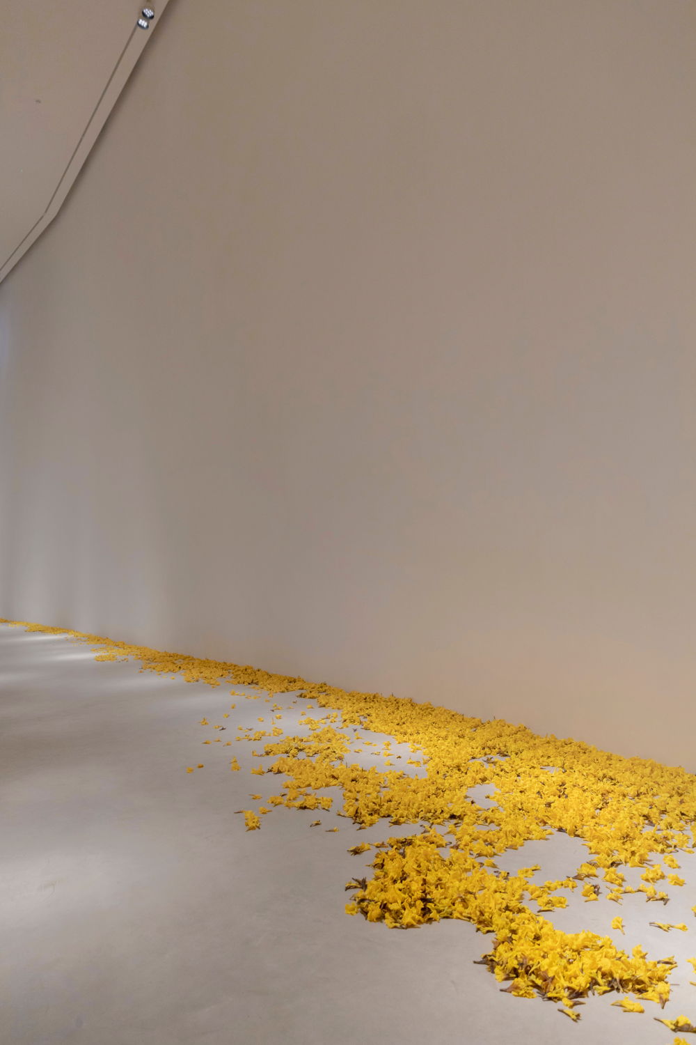 Allora & Calzadilla, Graft, 2019. Installation view at Z33 House for Contemporary Art, Design & Architecture, Hasselt, Belgium. Courtesy the artists and Gladstone Gallery, New York and Brussels. Photo: Selma Gurbuz.