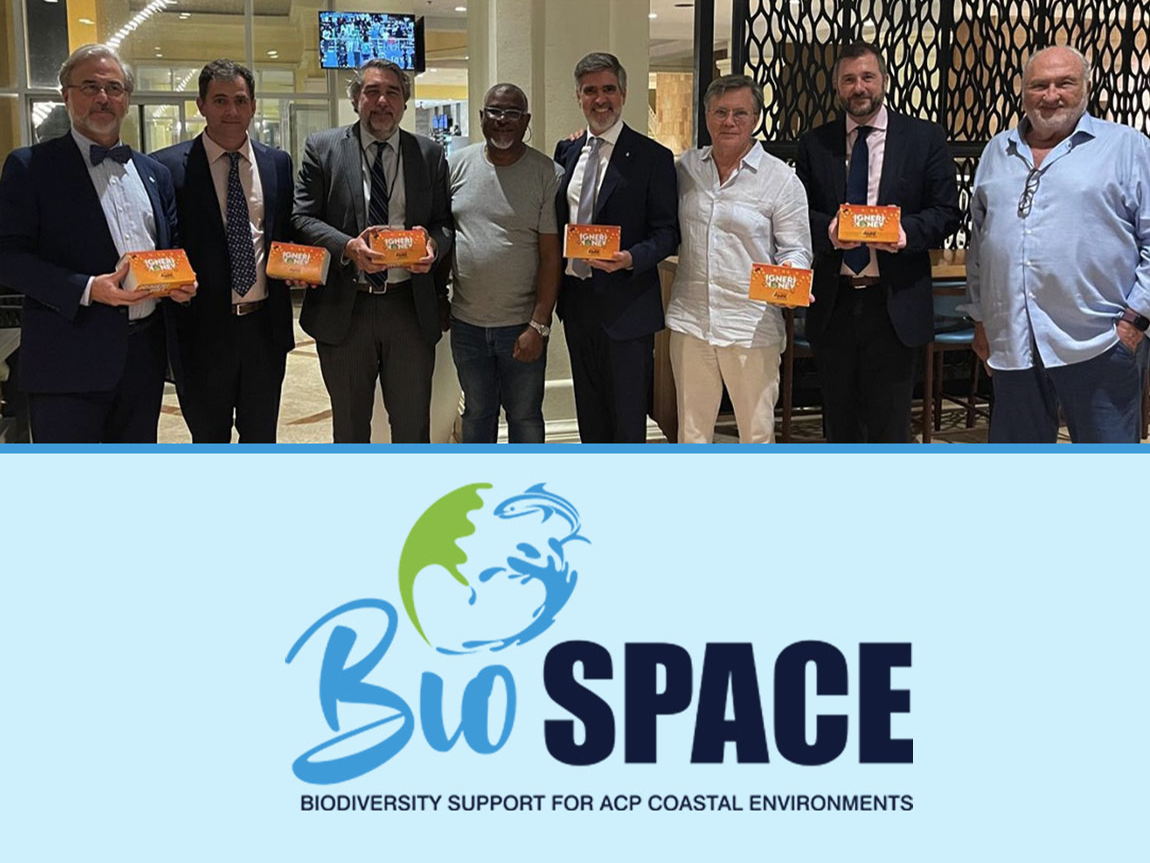 L’OECO et l’ACBO lancent la collection de miels « IGNERI » pour célébrer l’apiculture caribéenne