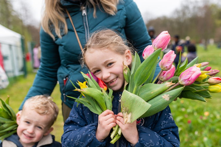 Tulpenpluk © Wim Hadermann