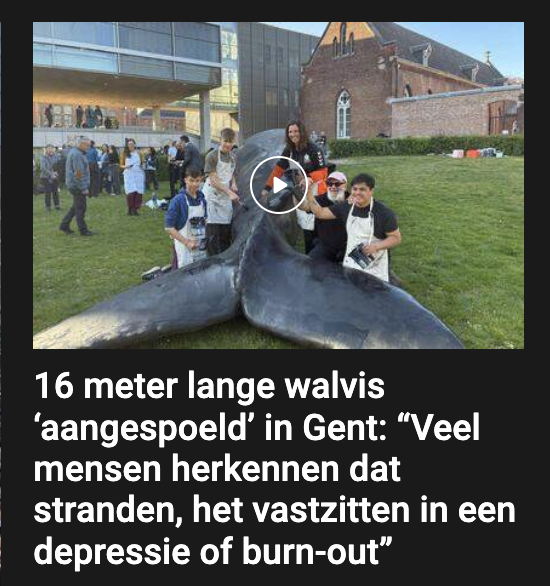 Online versie