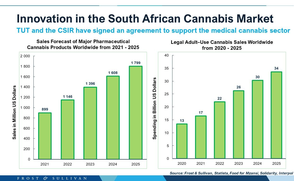 Innovation in the South African Cannabis Market