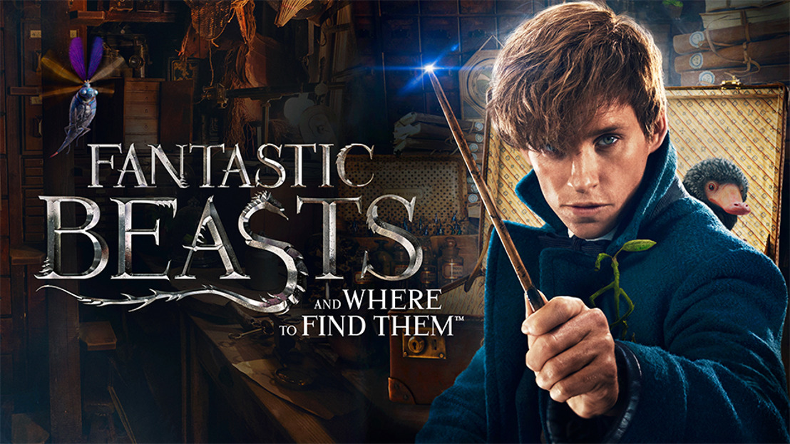 Fantastic Beasts and Where To Find Them