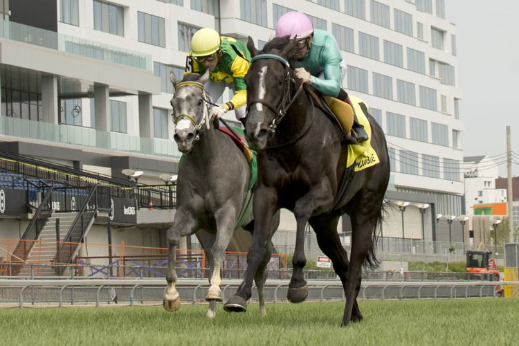Olivia Rose and jockey Rafael Hernandez winning the Thunder Bay Stakes on August 4, 2024 at Woodbine (Michael Burns Photo)