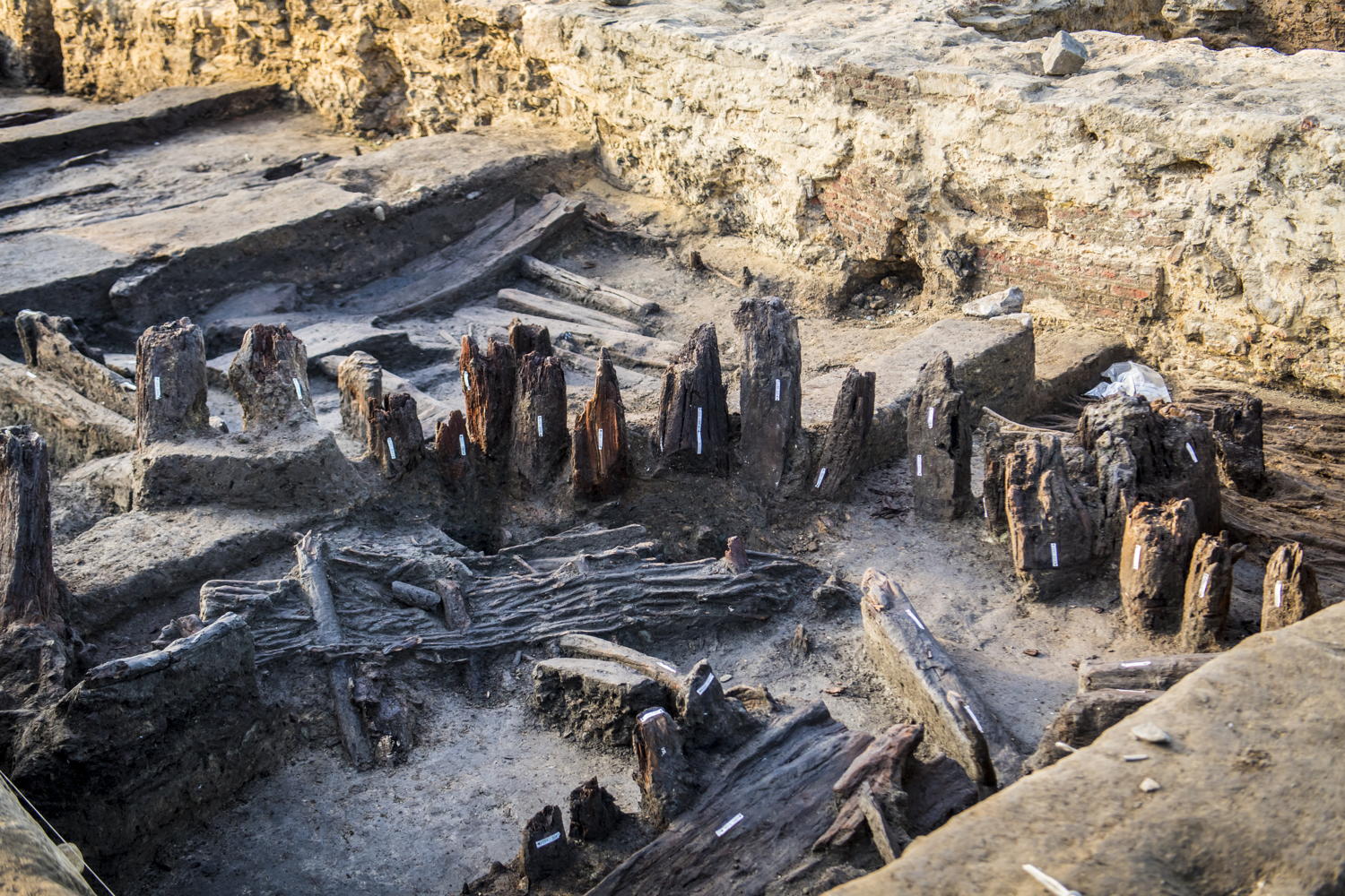 De opgravingsfoto brengt de houten palenwand van een middeleeuws huis in beeld, aan binnenzijde werd een vlechtwerkwand aangetroffen. ©Stad Antwerpen, foto Frederik Beyens
