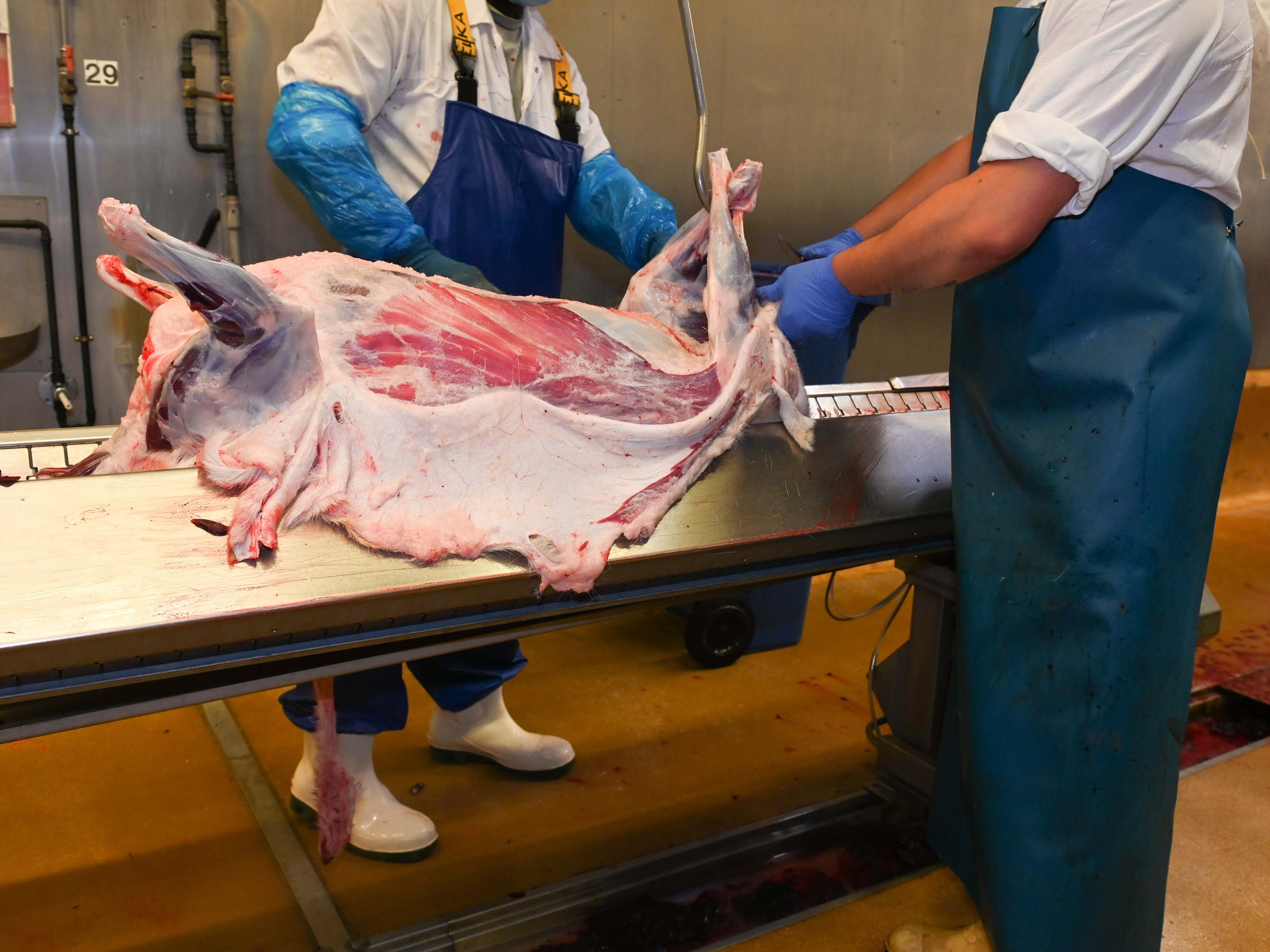 Meat sector warns Flemish restrictions on labour migration could undermine food supply