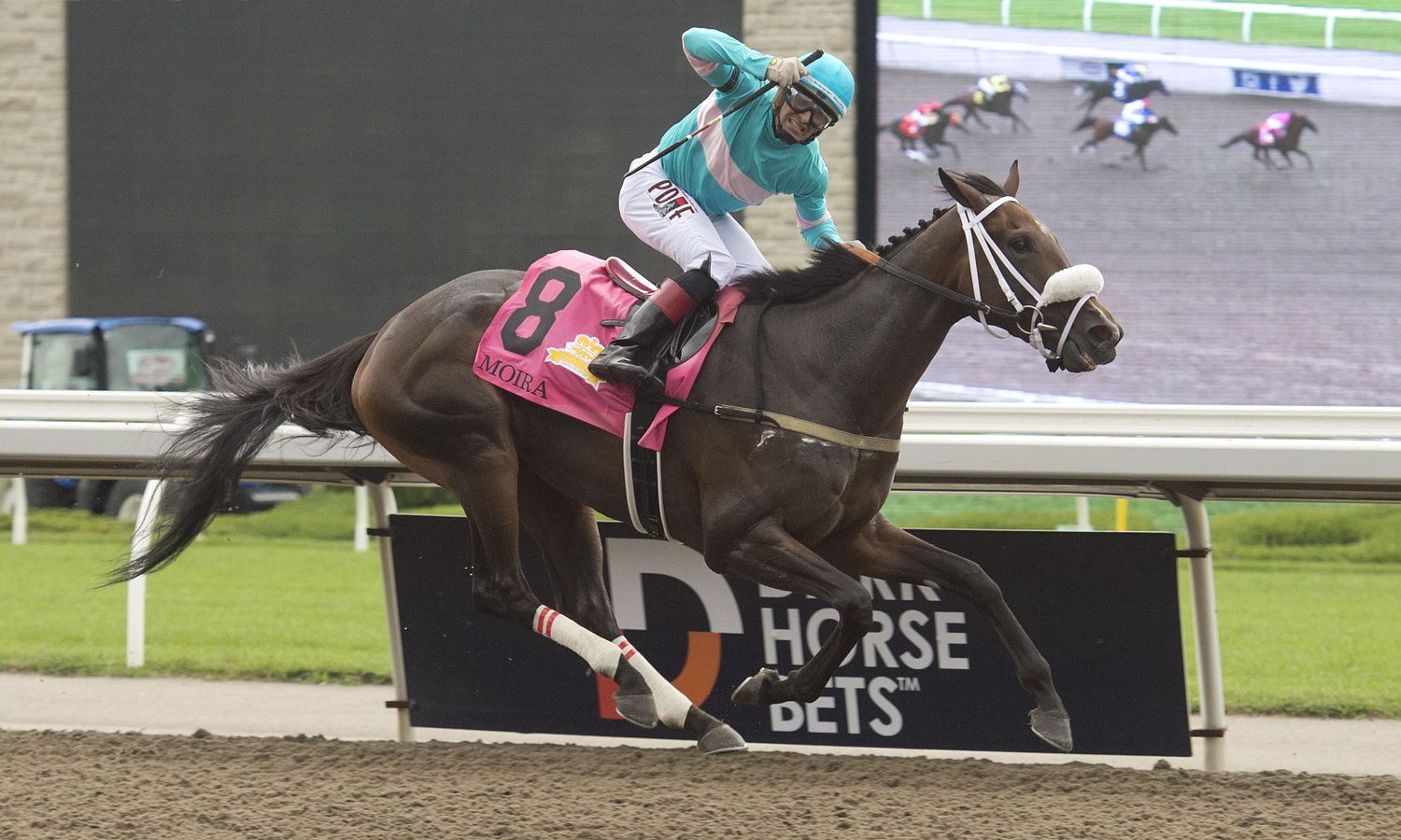 Moira and jockey Rafael Hernandez winning the 163rd Queen's Plate at Woodbine (Michael Burns Photo)