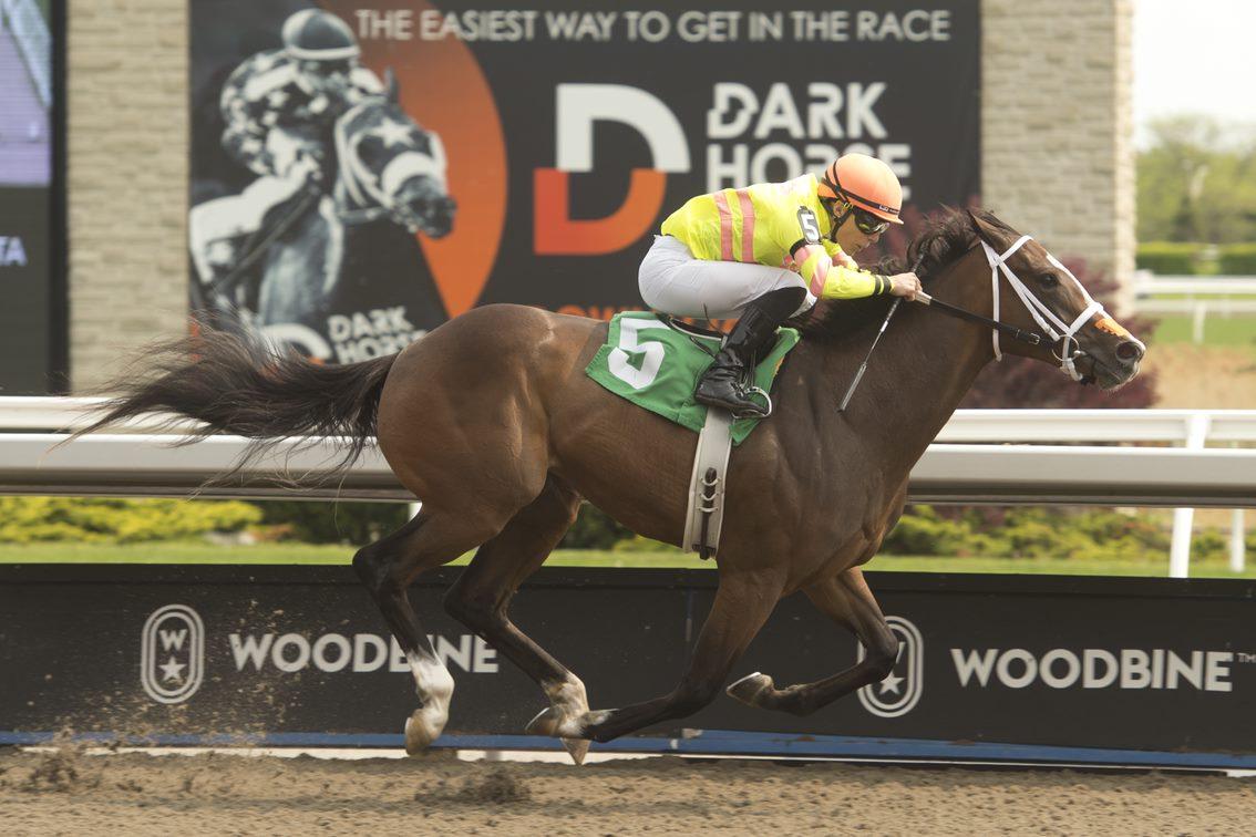 Bolt Encoree and jockey Emma-Jayne Wilson winning Race 5 on May 21, 2023 at Woodbine (Michael Burns Photo)