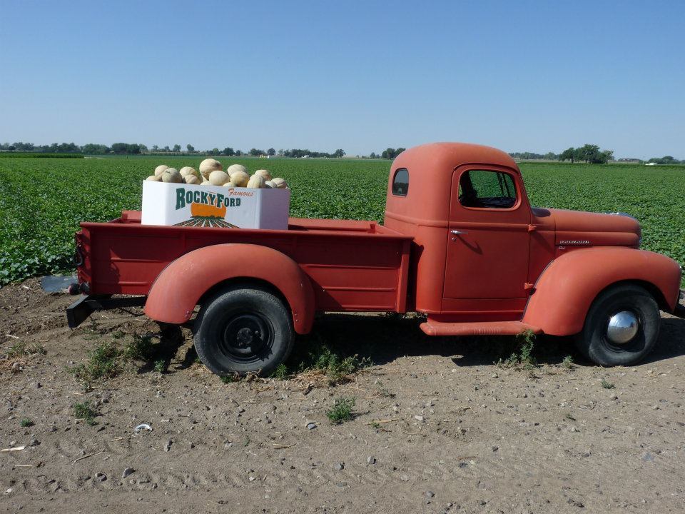 UPDATED WITH VIDEO AND PHOTOS: It's planting week for Rocky Ford Cantaloupe!