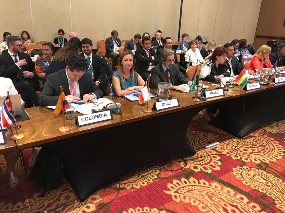 Ninth Meeting of the Negotiating Committee of the Regional Agreement in Costa-Rica