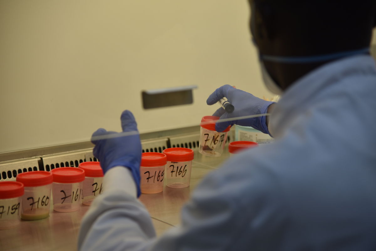 Sputum and stool samples at the MSF-supported TB laboratory of MakeniRegional hospital, Bombali district| Photographer: Ammar Obeidat |Date: 08 December, 2023