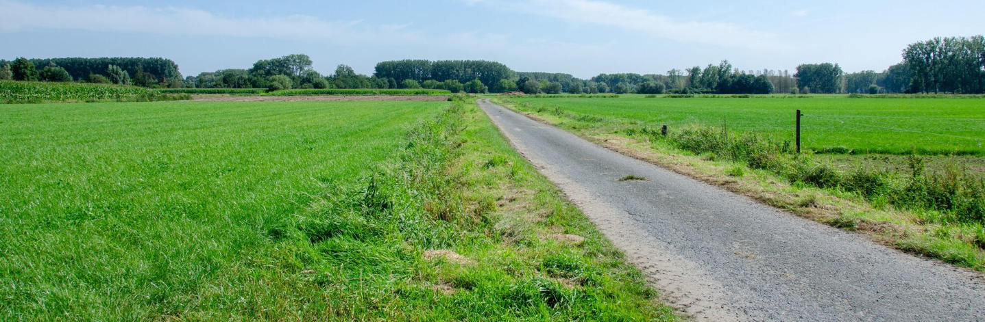 Start inrichtingswerken in ruilverkaveling Schelde-Leie