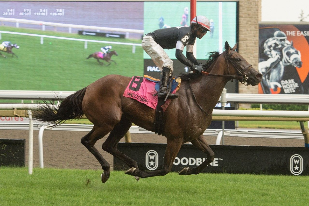 Fev Rover and jockey Patrick Husbands winning the Nassau Stakes on July 1, 2023 at Woodbine (Michael Burns Photo)