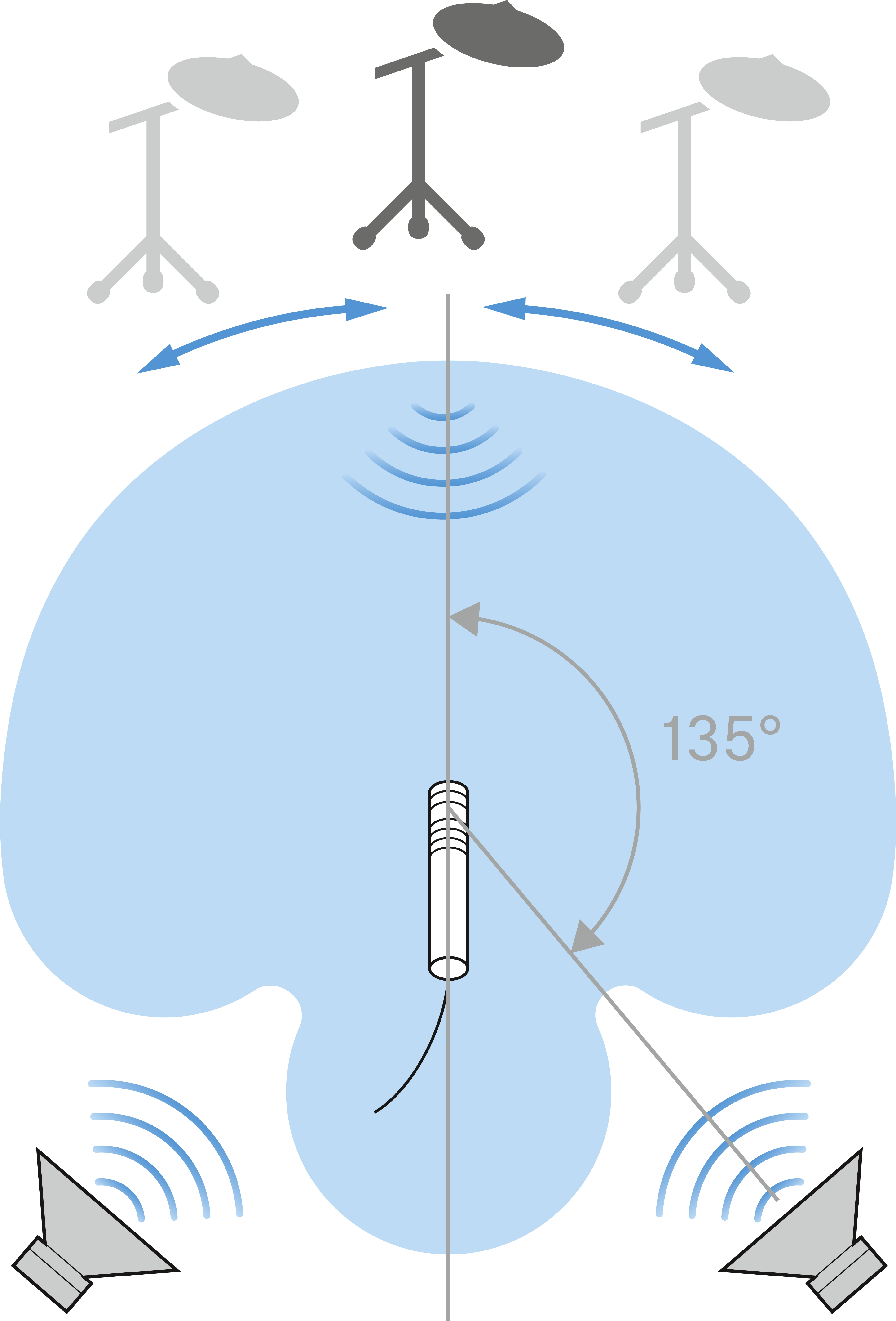 Das Supernierenmikrofon e 614 hat seine größte Auslöschung bei 135°.