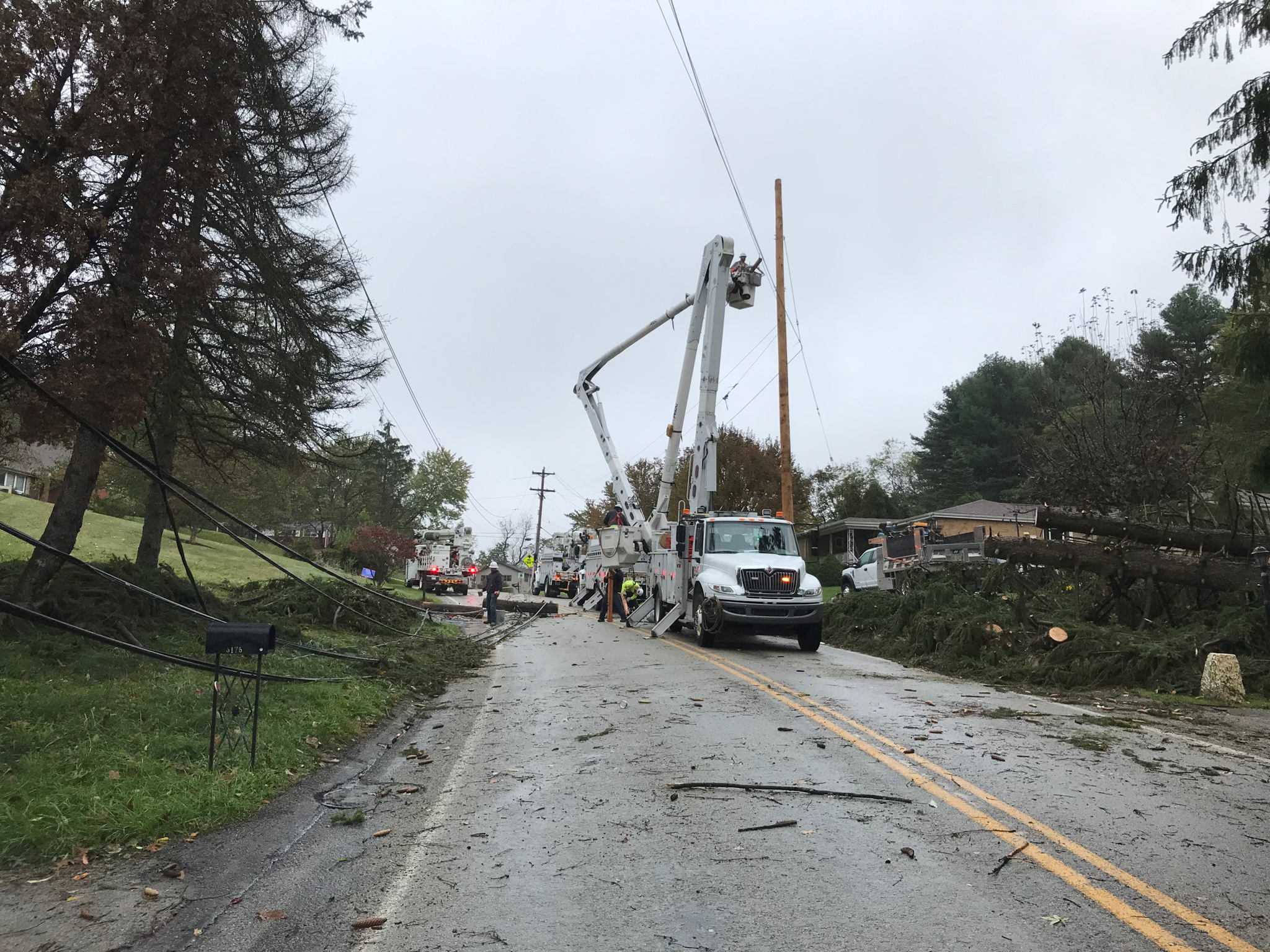 Duquesne Light Company Launches New Software to Enhance Vegetation