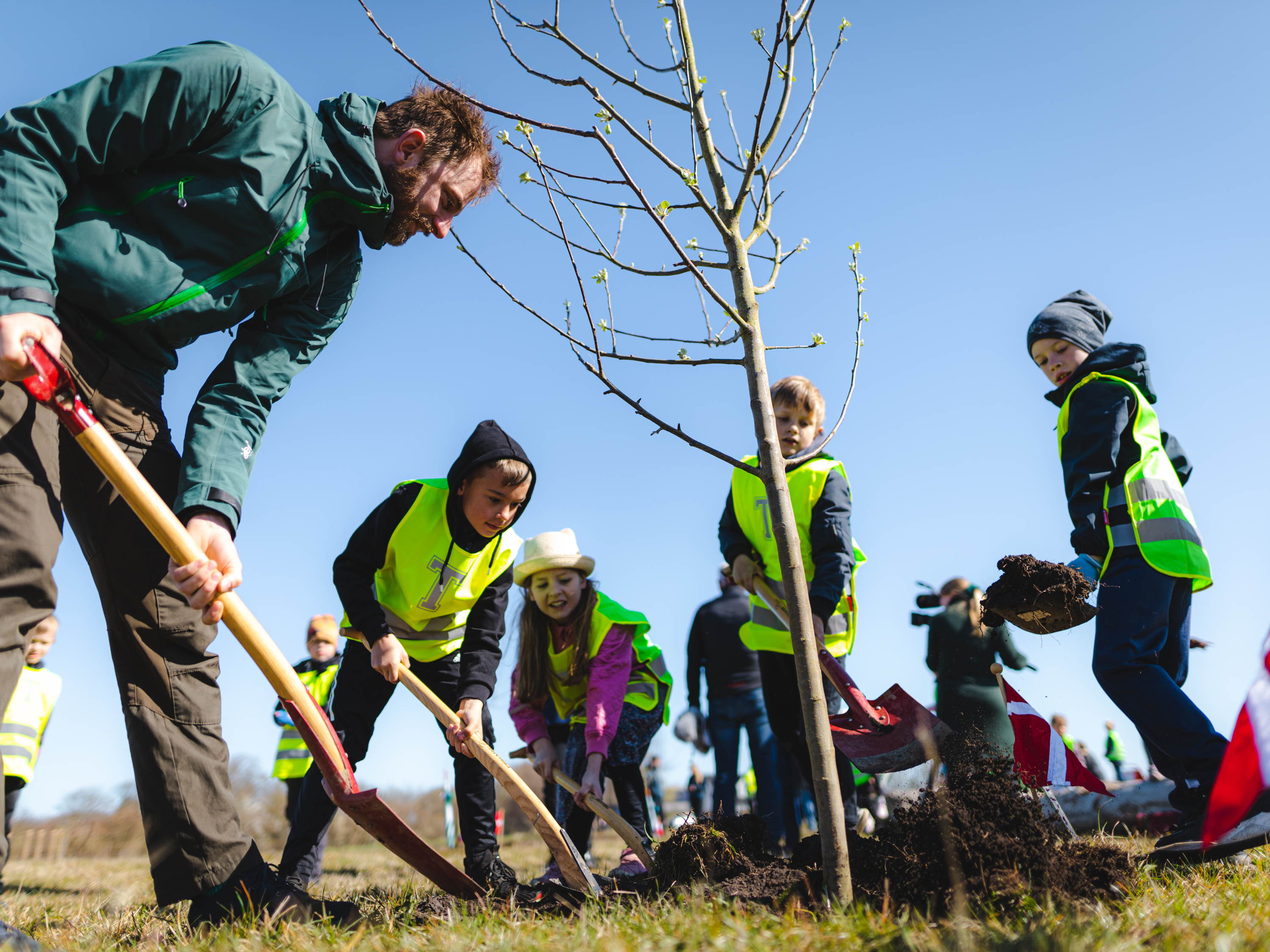Landal GreenParks donerer 20.000 træer til Plant et Træ-projekt i Aalborg
