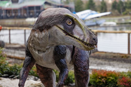 Velociraptor 