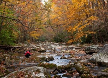 Blue Ridge, Georgia