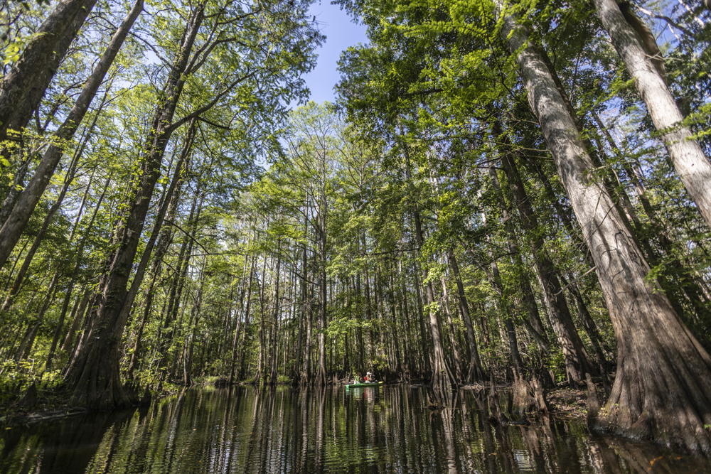 Shingle Creek / ©Rikky.Azarcoya