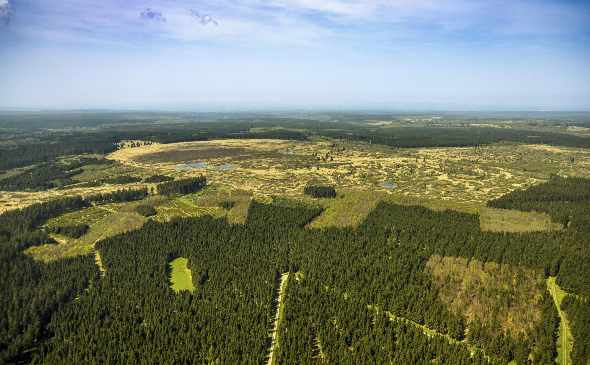 Biodiversity alliance calls on governments to act on nature restoration