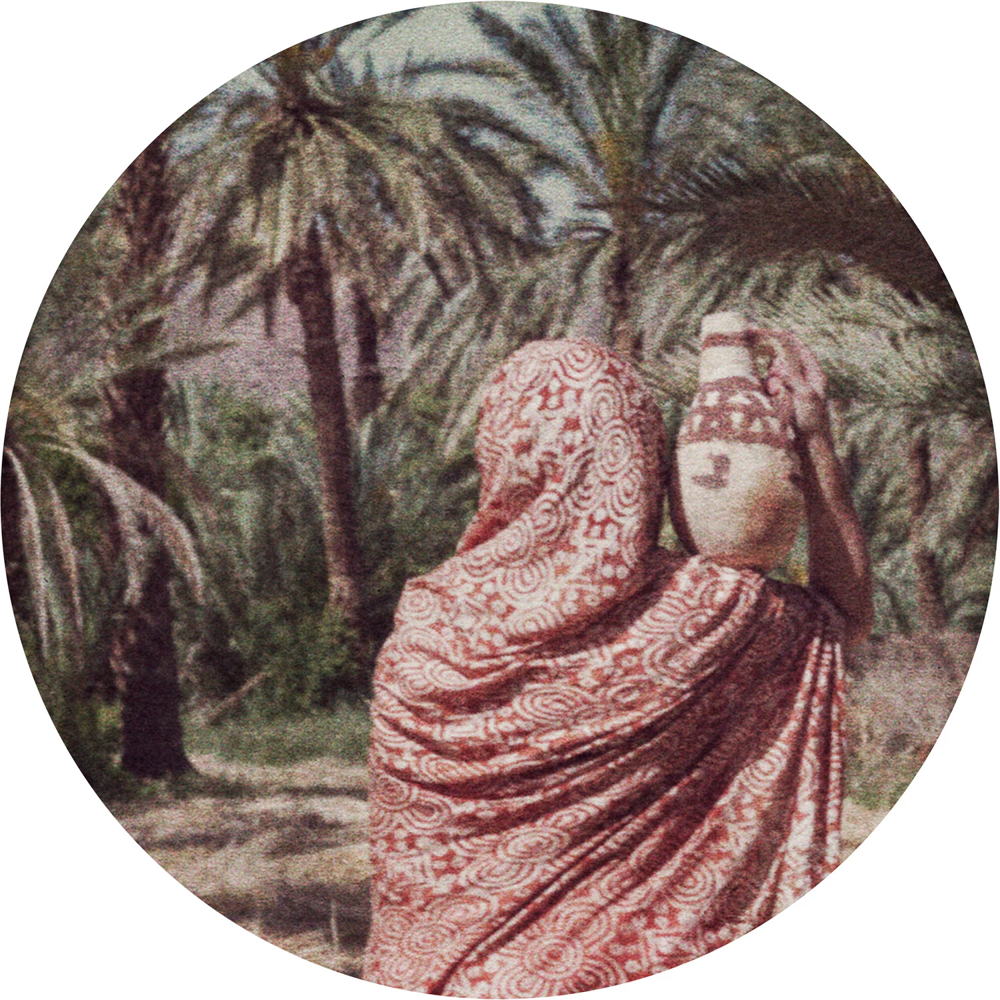FLORE-MAROC