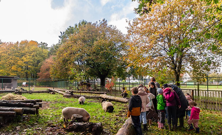 Beleef de herfst in Oost-Vlaanderen met activiteiten Provincie