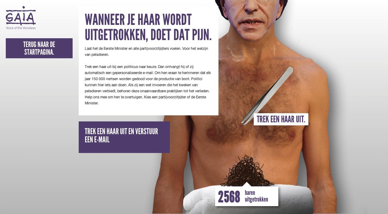 Website