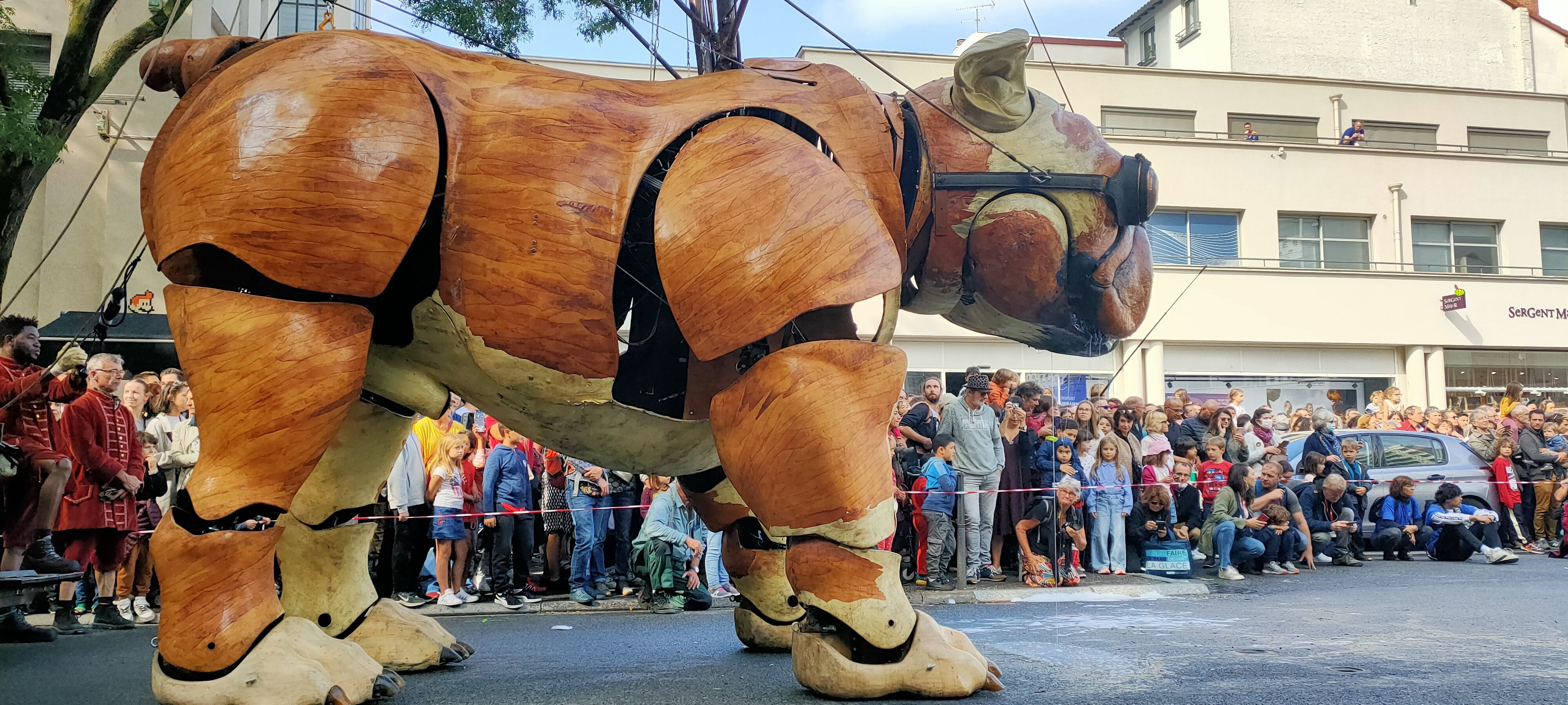 Bull Machin in Villeurbanne © Tatiana Guigan