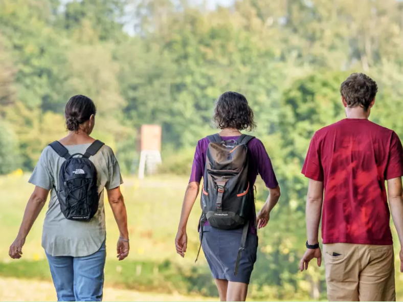 Wandelen voor de Vlaamse feestdag op 5, 11 en 13 juli