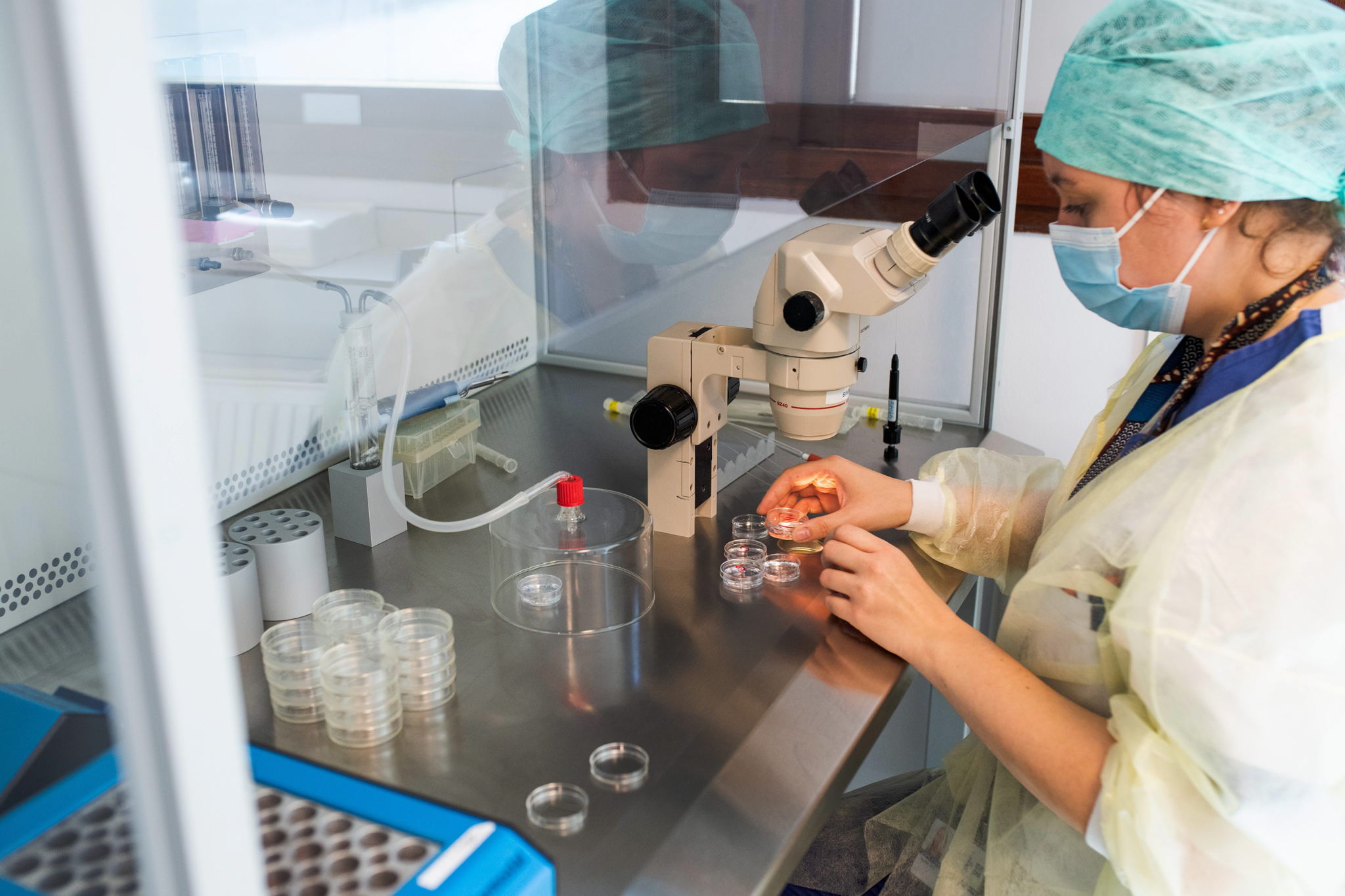 Federal government abolishes compulsory anonymity for sperm donors