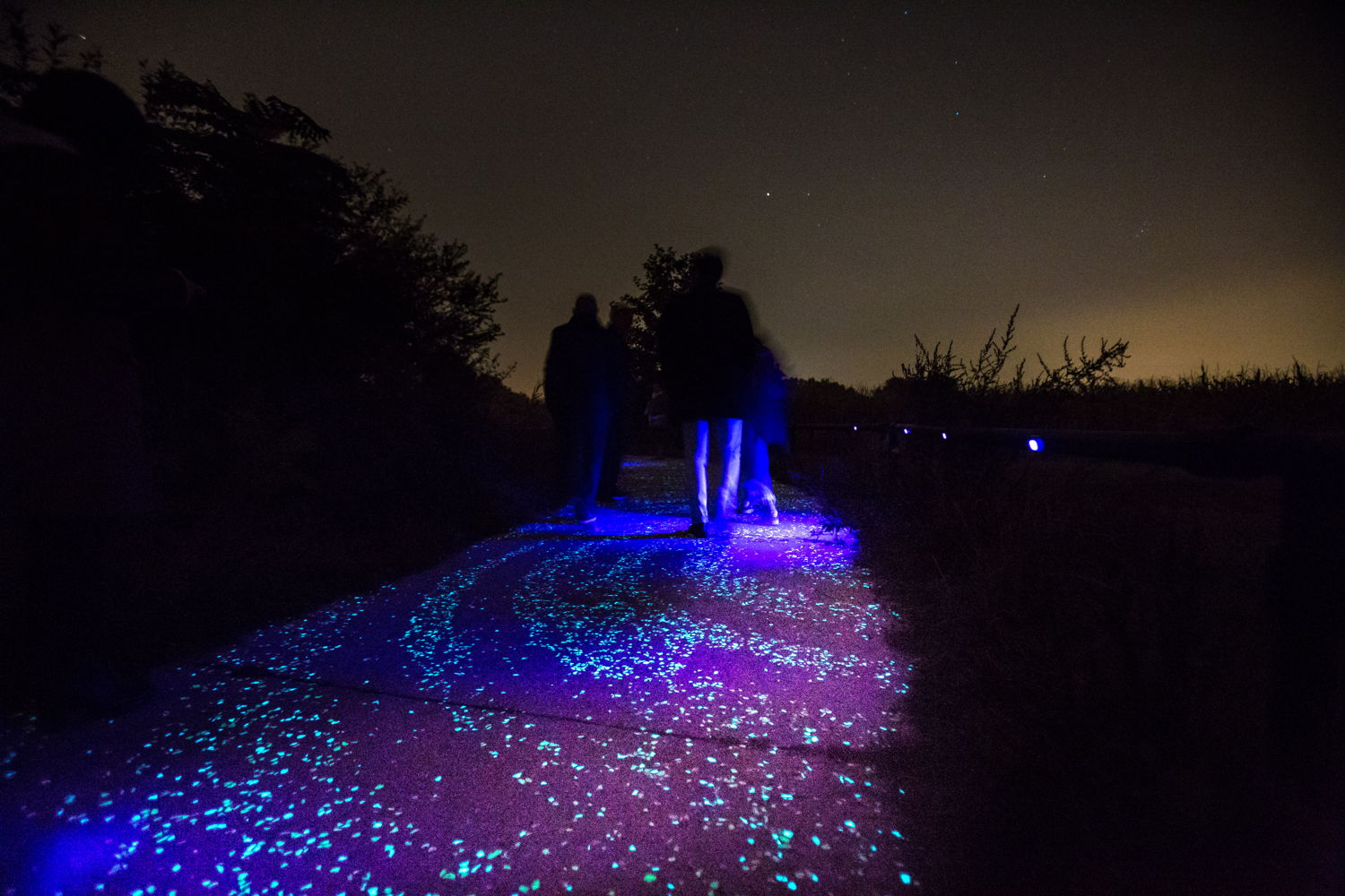 Van Gogh Roosegaarde Fietspad_Nuenen (c) VisitBrabant
