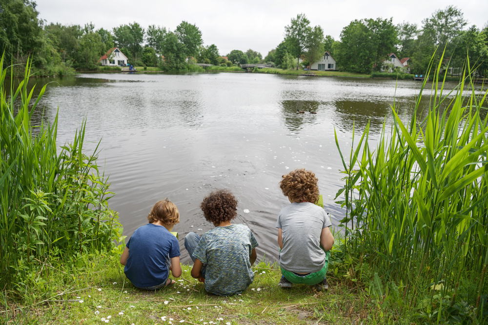 Natur pur in Landal Natuurdorp Suyderoogh