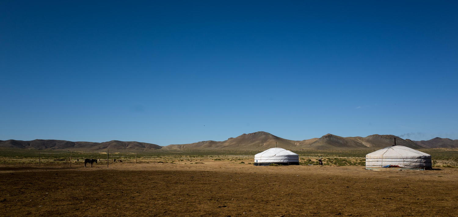 Beroepen zonder grenzen: Veeboeren in Mongolië