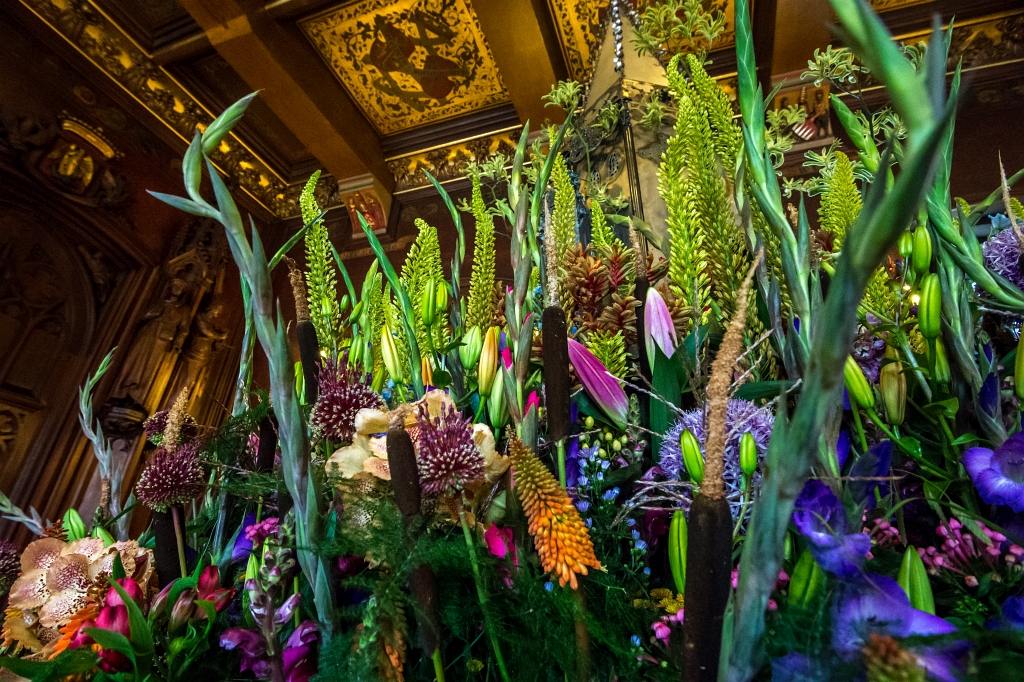 Flowertime 2015
© Wim Vanmaele
