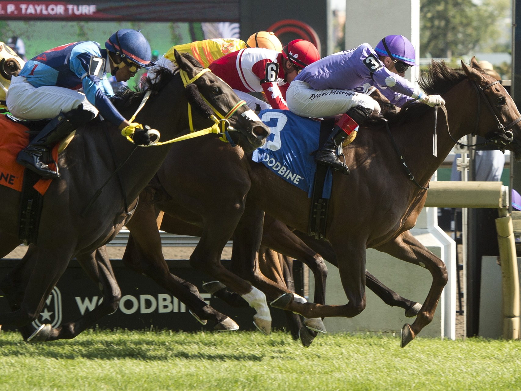 Dark Screen superb in Lake Superior / Sweet Passions finds daylight to win Thunder Bay