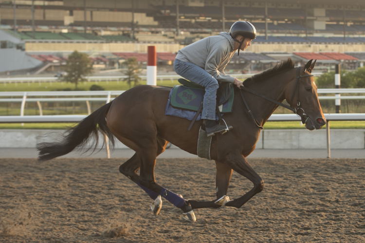 Saccharine training at Woodbine (Michael Burns Photo)