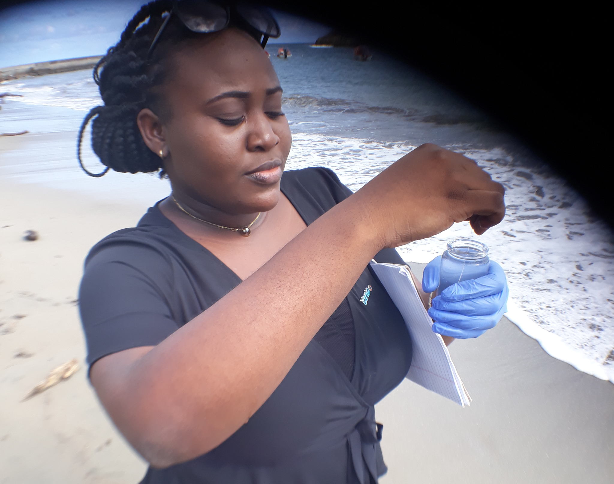 Jasmine testing water sample for Sargassum Project. Jasmine testing water sample for Sargassum Project.