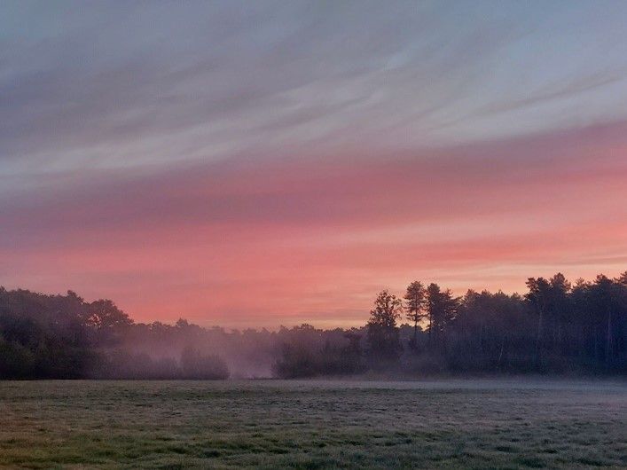 Unieke natuur in Grobbendonk © VLM