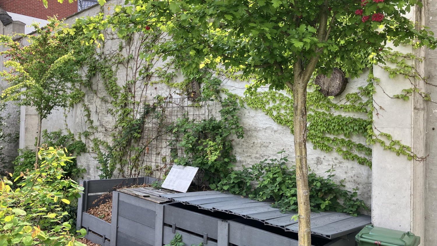 Binnentuin Appartementgebouw Nieuw Berchem  ©Stad Antwerpen