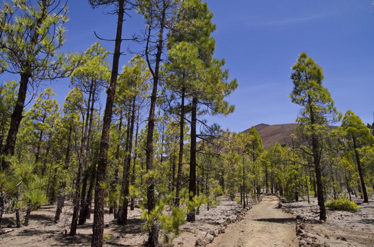 Vilaflor - Paisaje Lunar – Vilaflor