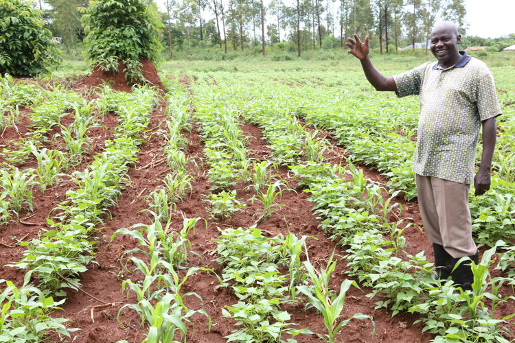 Farmer Jacob Okello in his striga free farm