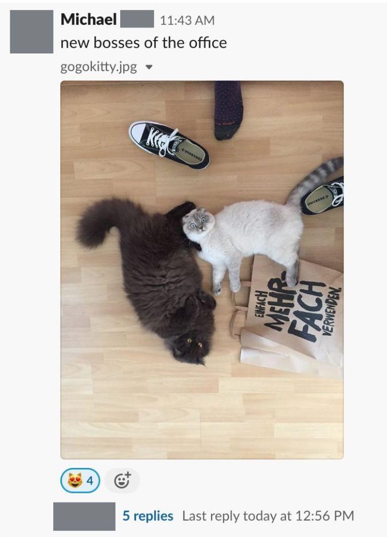 An example for a message shared in a quarantine group chat by Michael, who works for an internet startup that has decided to enforce six weeks of home office.