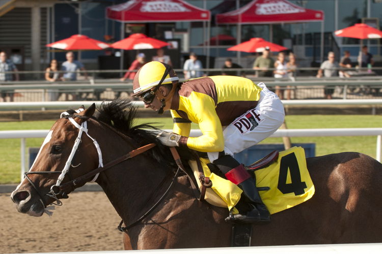 Rondure serves notice with Marine Stakes (G3) victory on Super Saturday at Woodbine. (Michael Burns Photo) 