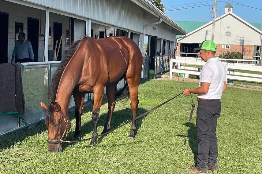 Rapid Test on the Woodbine Backstretch