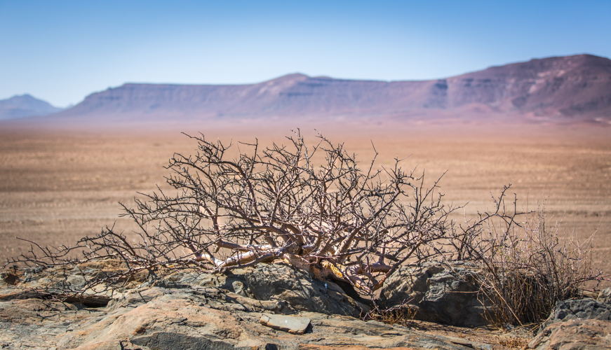 Namibia Inspiration